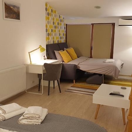 Вилла Fagaras Cosy Flat Экстерьер фото