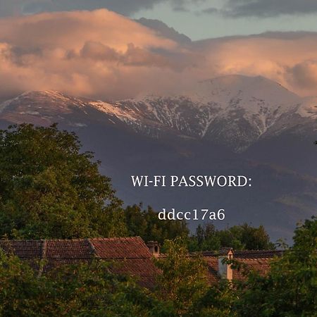 Вилла Fagaras Cosy Flat Экстерьер фото