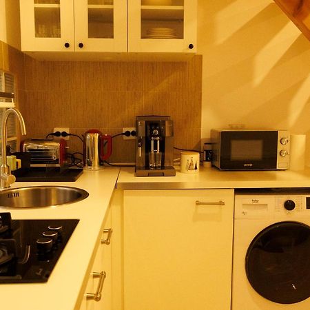 Вилла Fagaras Cosy Flat Экстерьер фото