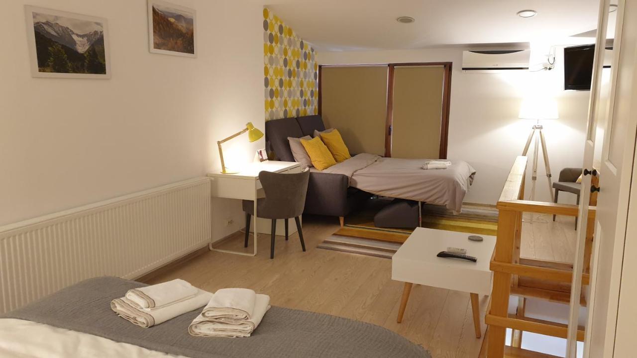 Вилла Fagaras Cosy Flat Экстерьер фото
