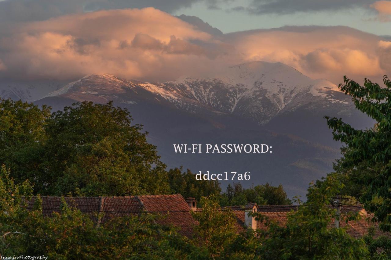 Вилла Fagaras Cosy Flat Экстерьер фото