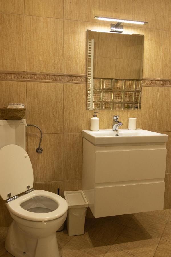 Вилла Fagaras Cosy Flat Экстерьер фото