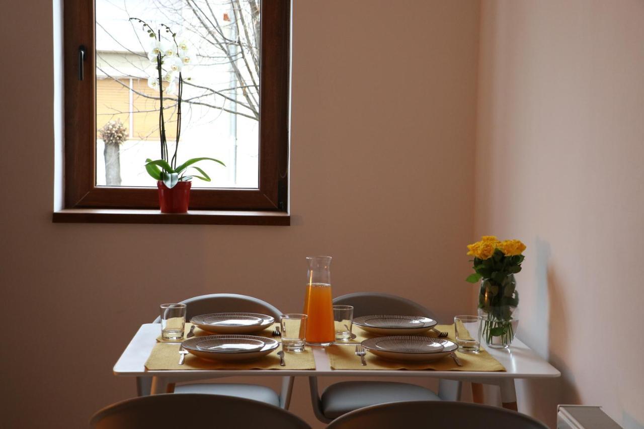 Вилла Fagaras Cosy Flat Экстерьер фото