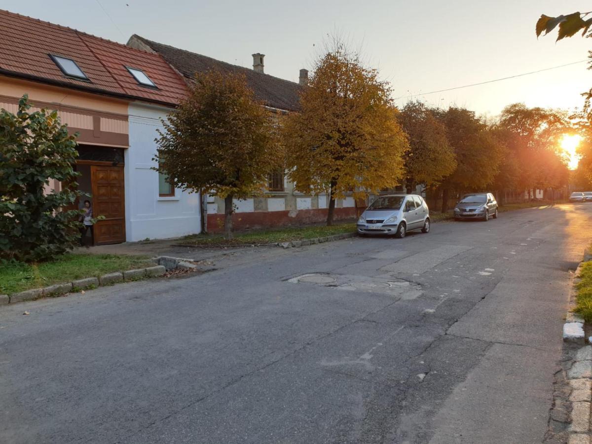 Вилла Fagaras Cosy Flat Экстерьер фото